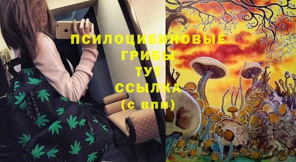 дмт Алзамай