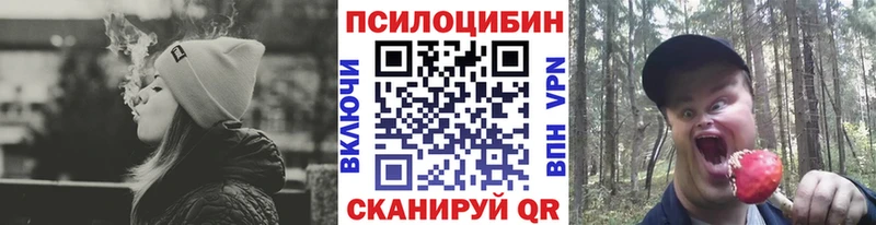 Псилоцибиновые грибы Psilocybe магазин наркотиков Железногорск